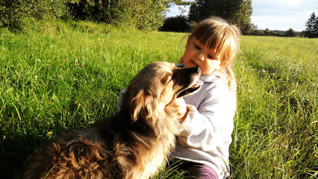 Holiday Gatherings and Your Pet Dog is happy