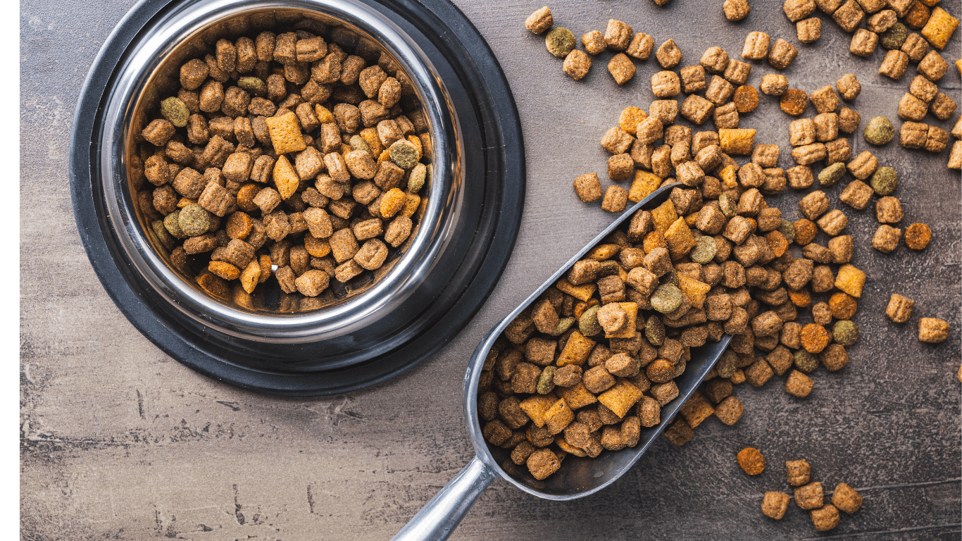 How to Choose the Right Pet Food Tips on Nutrition, Quality, and Trusted Brands