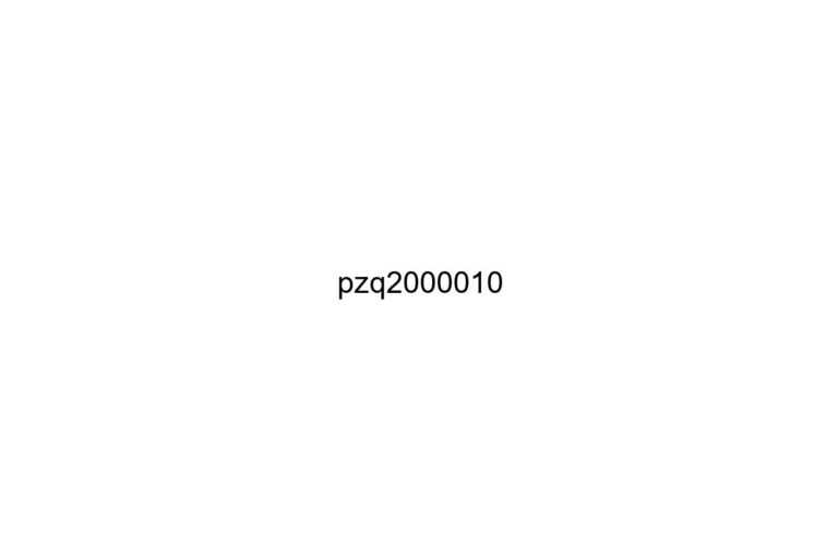 pzq2000010