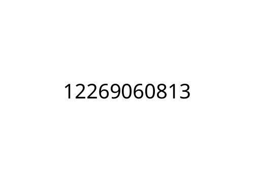 12269060813