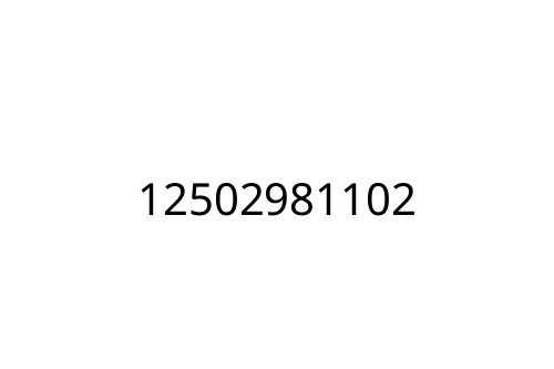 12502981102