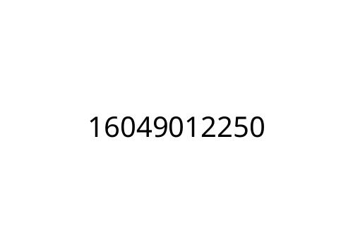 16049012250