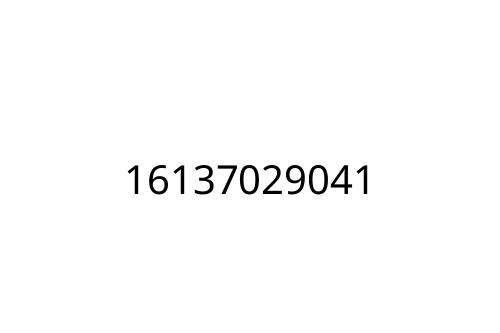 16137029041
