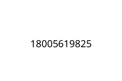 18005619825