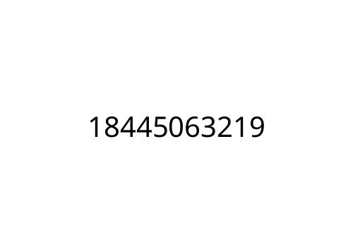18445063219