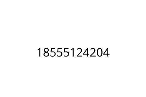 18555124204