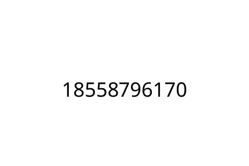18558796170
