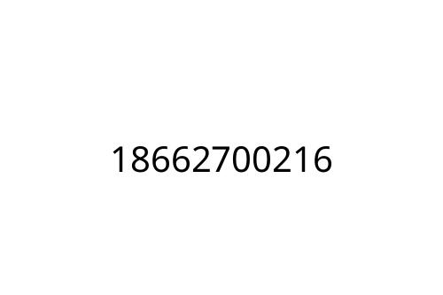 18662700216