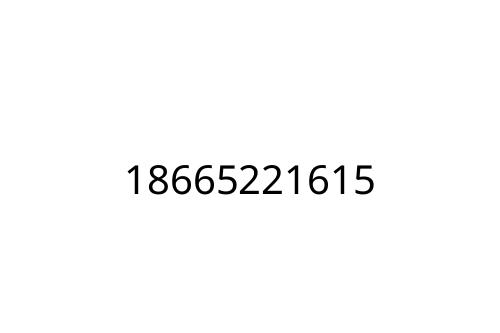 18665221615