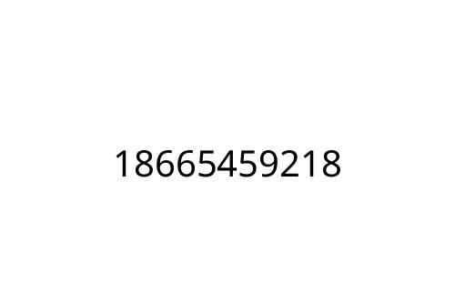 18665459218