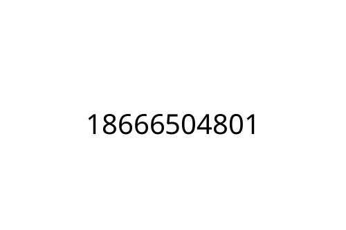18666504801
