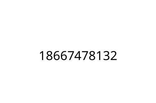 18667478132