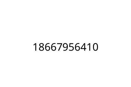 18667956410