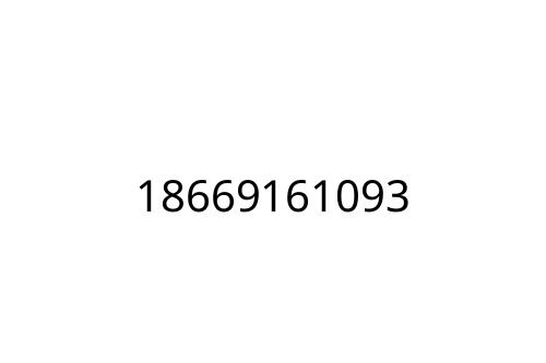 18669161093