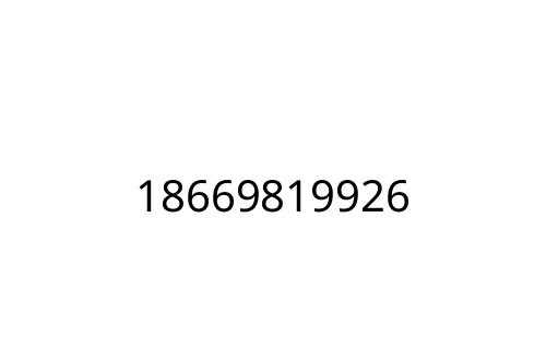 18669819926