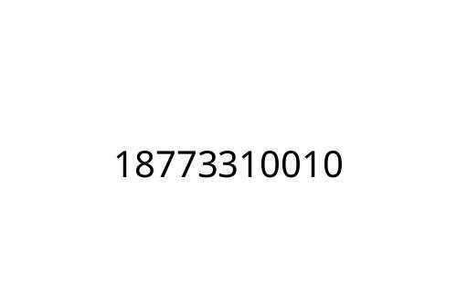 18773310010