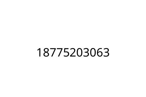 18775203063