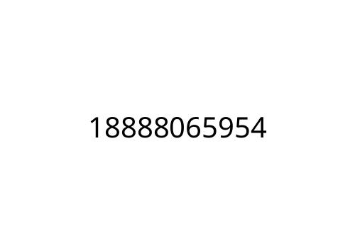 18888065954