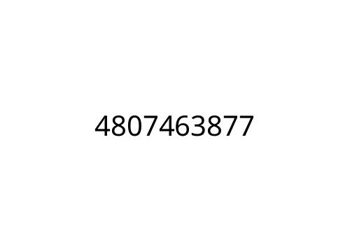 4807463877