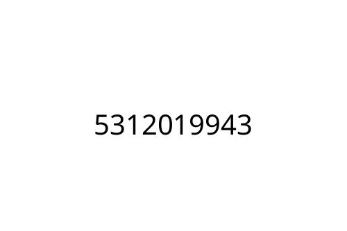 5312019943
