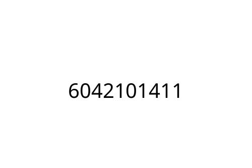 6042101411