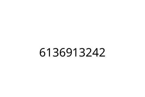 6136913242