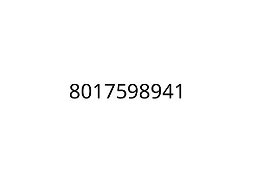 8017598941