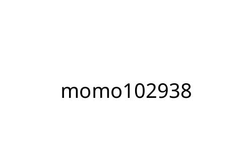 momo102938