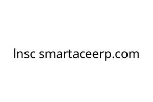lnsc smartaceerp.com