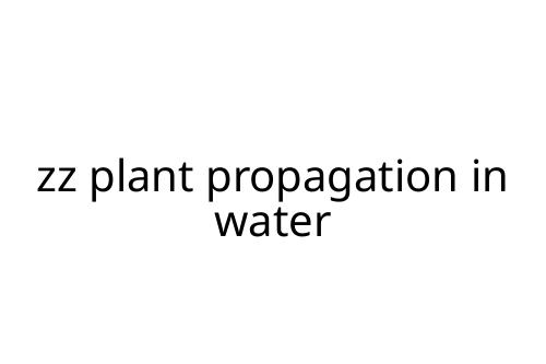 zz plant propagation in water