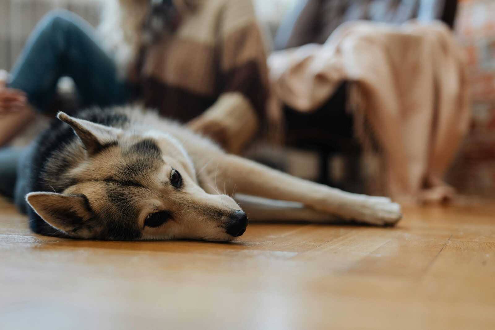 pexels karolina grabowska 5426966
