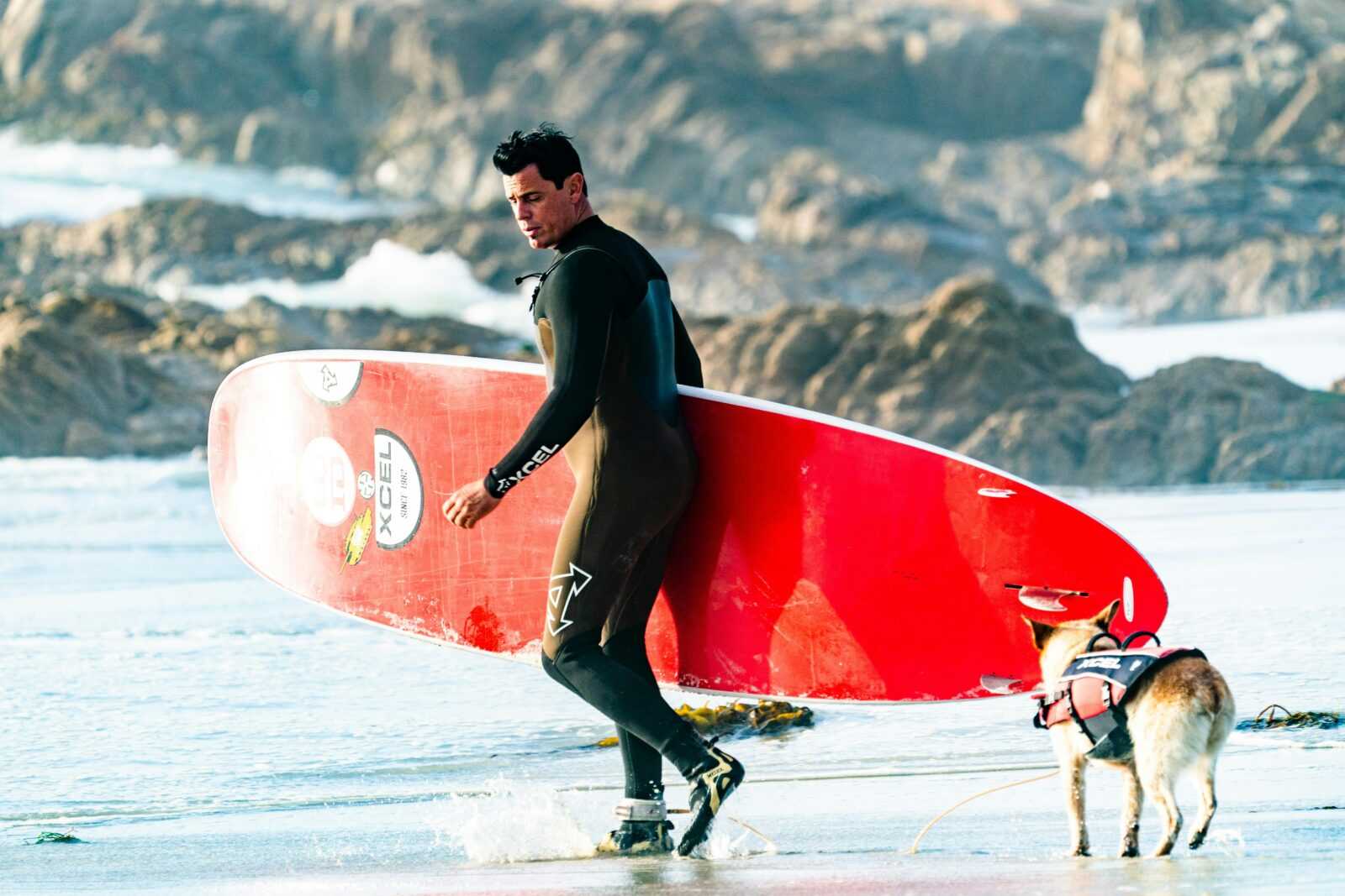 Surfer with dog and surfboard enjoying a sunny day at a rocky beach.
