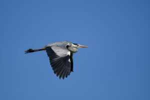 long shaggy hairstyles for fine hair over 50