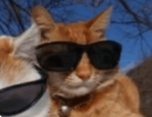 dsgsdfsdkkskksssdqwerfsdv165