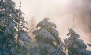 proper way of using 5ah9.6max0 python software