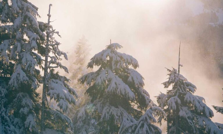 proper way of using 5ah9.6max0 python software