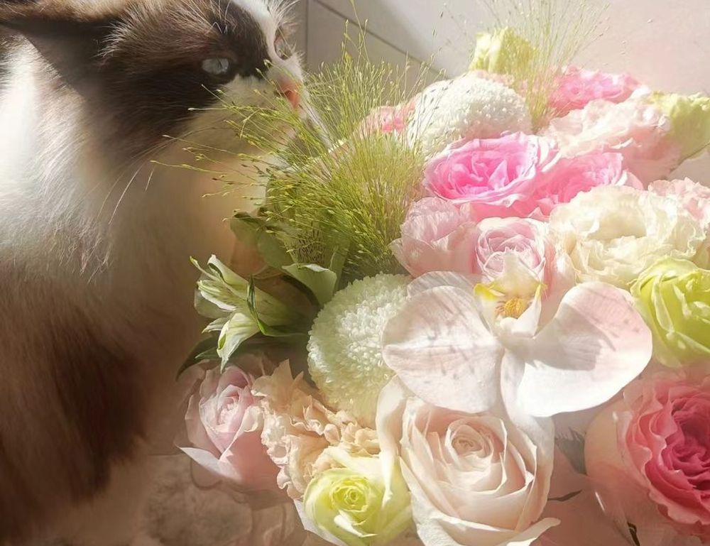 which month is best to visit beevitius