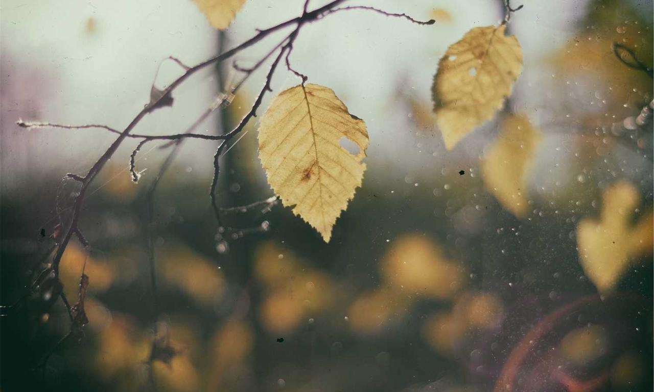 why immorpos35.3 software implementations fail