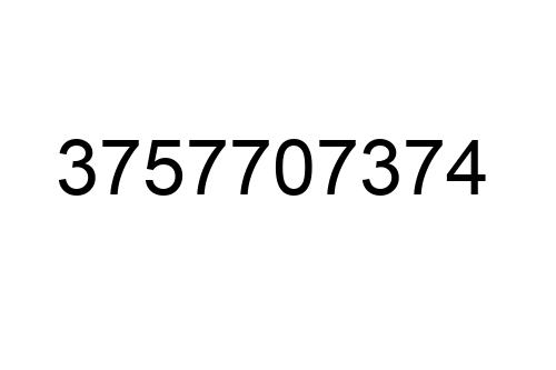 3757707374