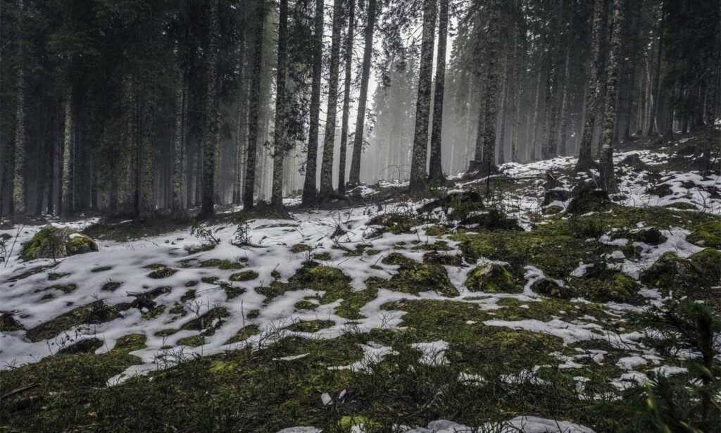 molly and jordy onlyfans