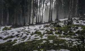 molly and jordy onlyfans