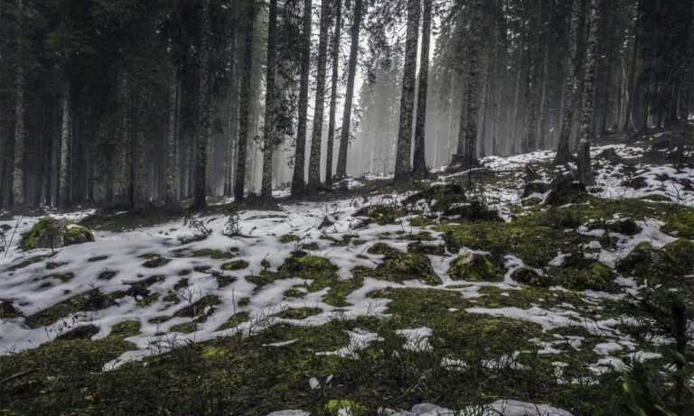 molly and jordy onlyfans