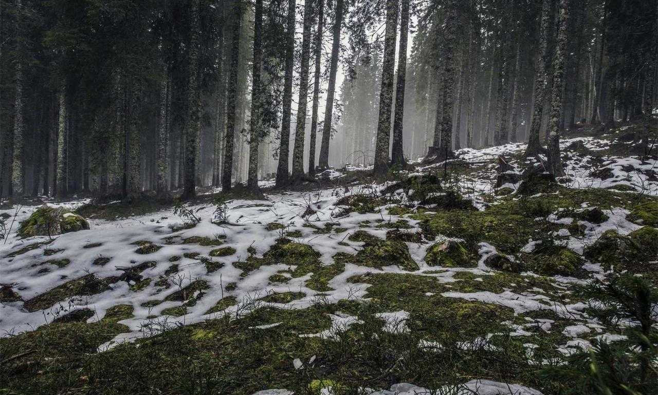 molly and jordy onlyfans