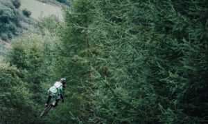 sophiesouth onlyfans