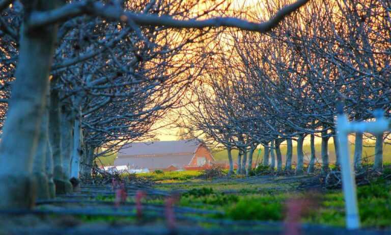 ultra instinct:g11_1q4380i= goku