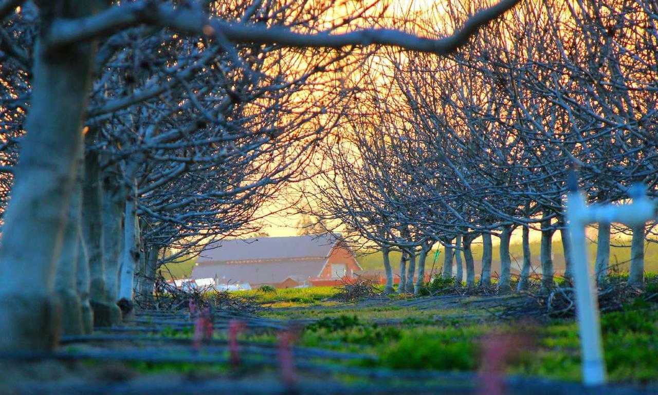 ultra instinct:g11_1q4380i= goku