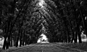 virtuosa feliz dia de la mujer dios te bendiga