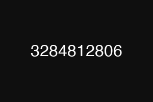 3284812806