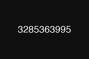 3285363995