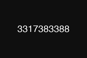3317383388
